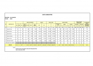 contoh data umum pkk jakpus